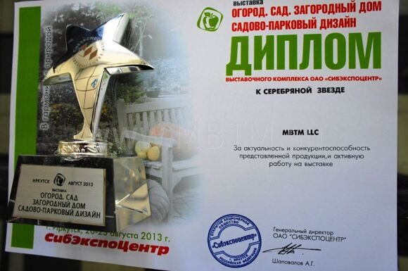 Диплом выставки и серебряная звезда